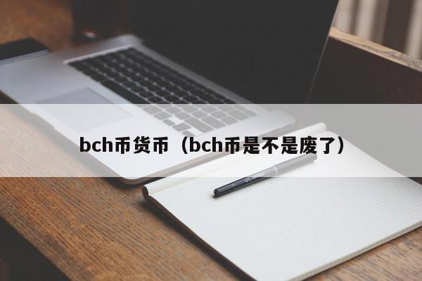 bch币货币(bch币是不是废了)