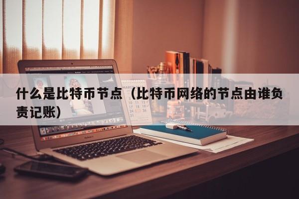 什么是比特币节点(比特币网络的节点由谁负责记账)