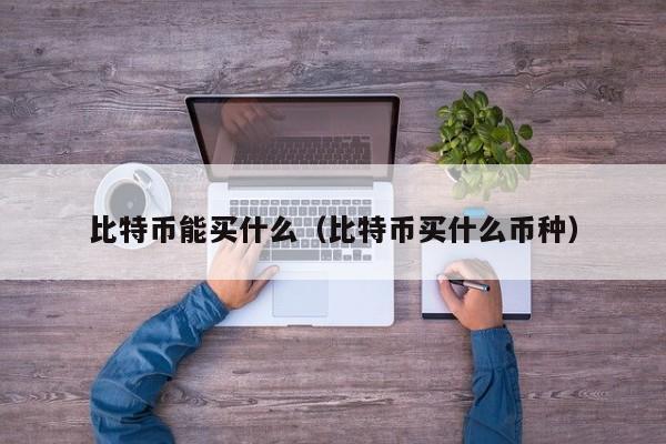 比特币能买什么(比特币买什么币种)
