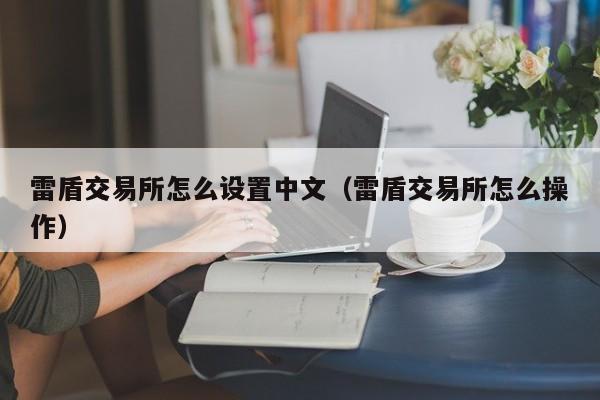 雷盾交易所怎么设置中文(雷盾交易所怎么操作)