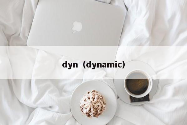 dyn(dynamic)