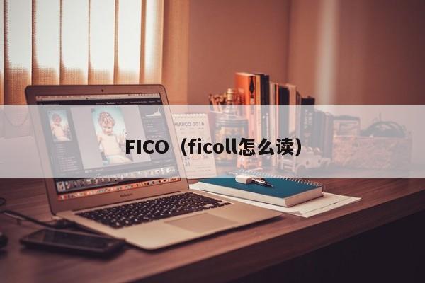 FICO(ficoll怎么读)