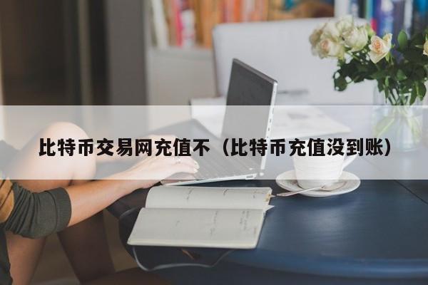 比特币交易网充值不(比特币充值没到账)