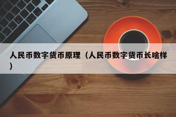 人民币数字货币原理(人民币数字货币长啥样)