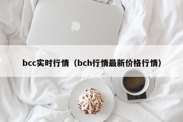 bcc实时行情(bch行情最新价格行情)