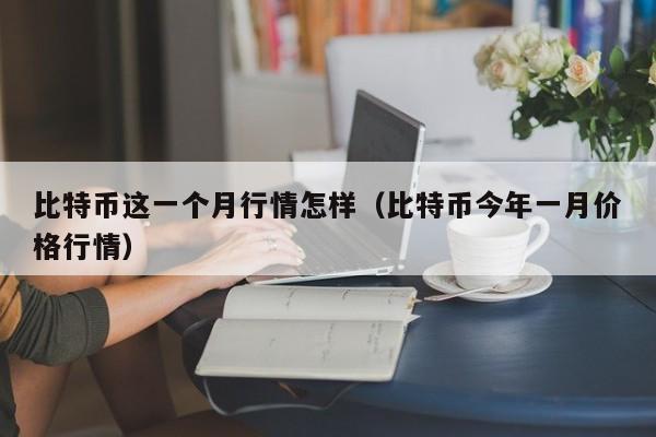 比特币这一个月行情怎样(比特币今年一月价格行情)